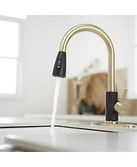 Greenspring Single-Handle Pull-Out Sprayer Kitchen Faucet with Supply Lines in Matte Black and Brushed Nickel