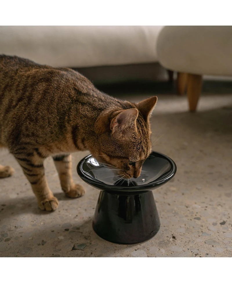 Dexypaws Flat Top Cat Bowl: Black