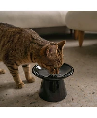 Dexypaws Flat Top Cat Bowl: Black