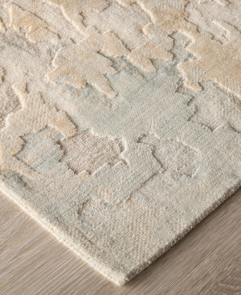 Feizy Jaxson 39SAF 4'x6' Area Rug
