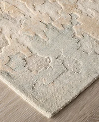 Feizy Jaxson 39SAF 4'x6' Area Rug