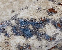 Feizy Gilmore 39MLF 8'x10' Area Rug
