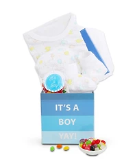 Alder Creek Gift Baskets It's a Boy Baby Gift Box, 4 Pieces