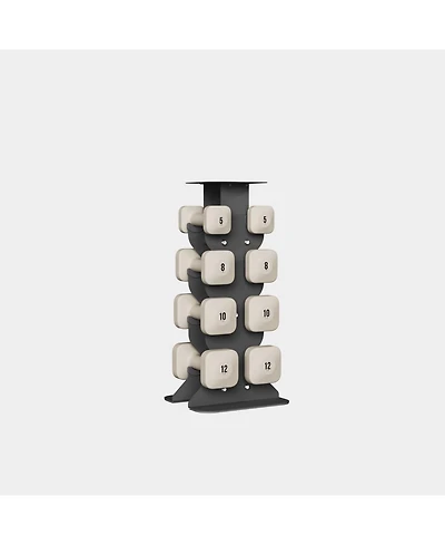 WeGym SafeGrip Dumbbells Medium Set with Dark Rack - 5, 8, 10, 12 lbs