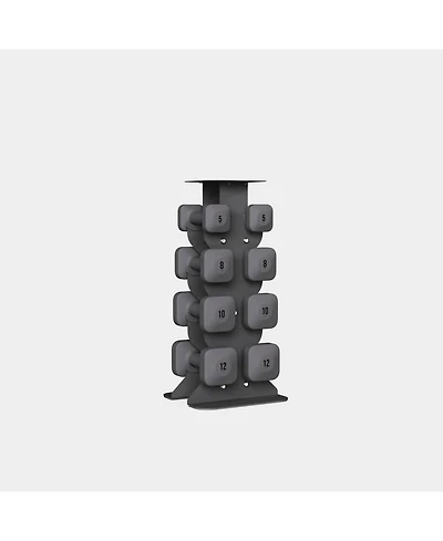 WeGym SafeGrip Dumbbells Medium Set with Dark Rack - 5, 8, 10, 12 lbs