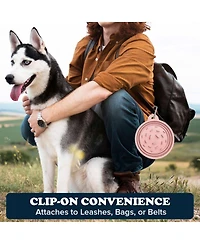 Slow-Feeder, Non-Skid, Bpa-Free Silicone Travel Dog Bowl