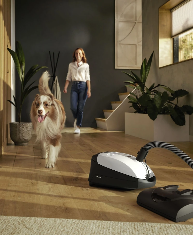 Miele Classic C1 Cat & Dog Canister Vacuum