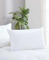 Avocado 100% Cotton Cover Down Pillow