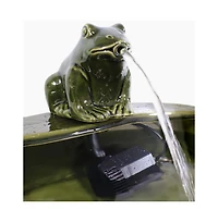Fountain Bird Bath with Frog Design and Solar Pump for Outdoor Garden Decor