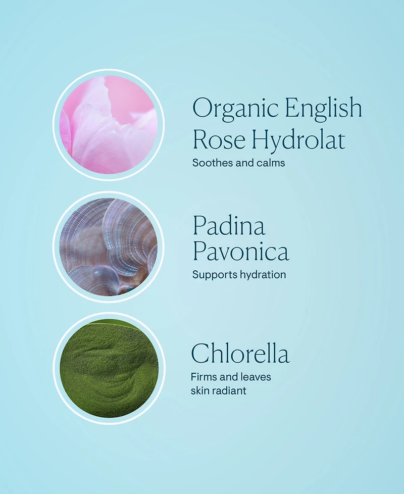 Elemis Pro-Collagen Rose Marine Cream