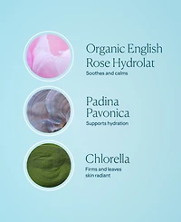 Elemis Pro-Collagen Rose Marine Cream