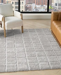 Dkny West End Ave WTE01 6'x9' Area Rug