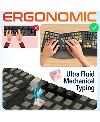 Delton KB450 Wireless Ergonomic Mechanical Keyboard