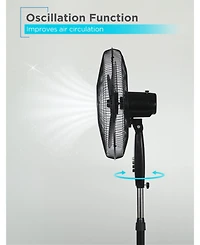 Black+Decker 18-Inch Pedestal Fan, BFP18SXW, Oscillating Fan for Home and Office