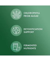 Dr. Mercola Fermented Chlorella with Chlorophyll, 90 Servings, Supports Immune and Organ Health