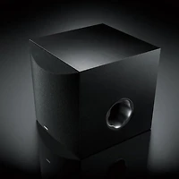 Yamaha Ns-SW100 Subwoofer (Black)