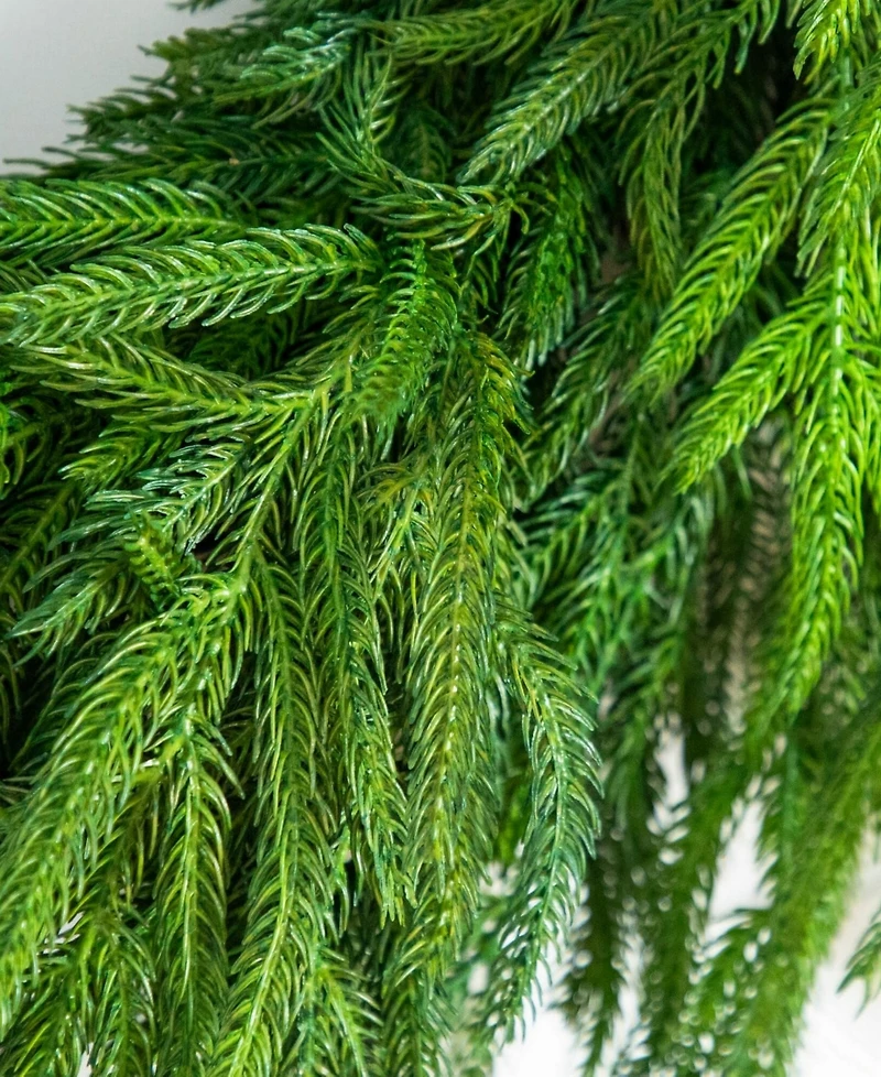 Nearly Natural 24" Artificial Touch Norfolk Island Pine Wreath with Natural Look