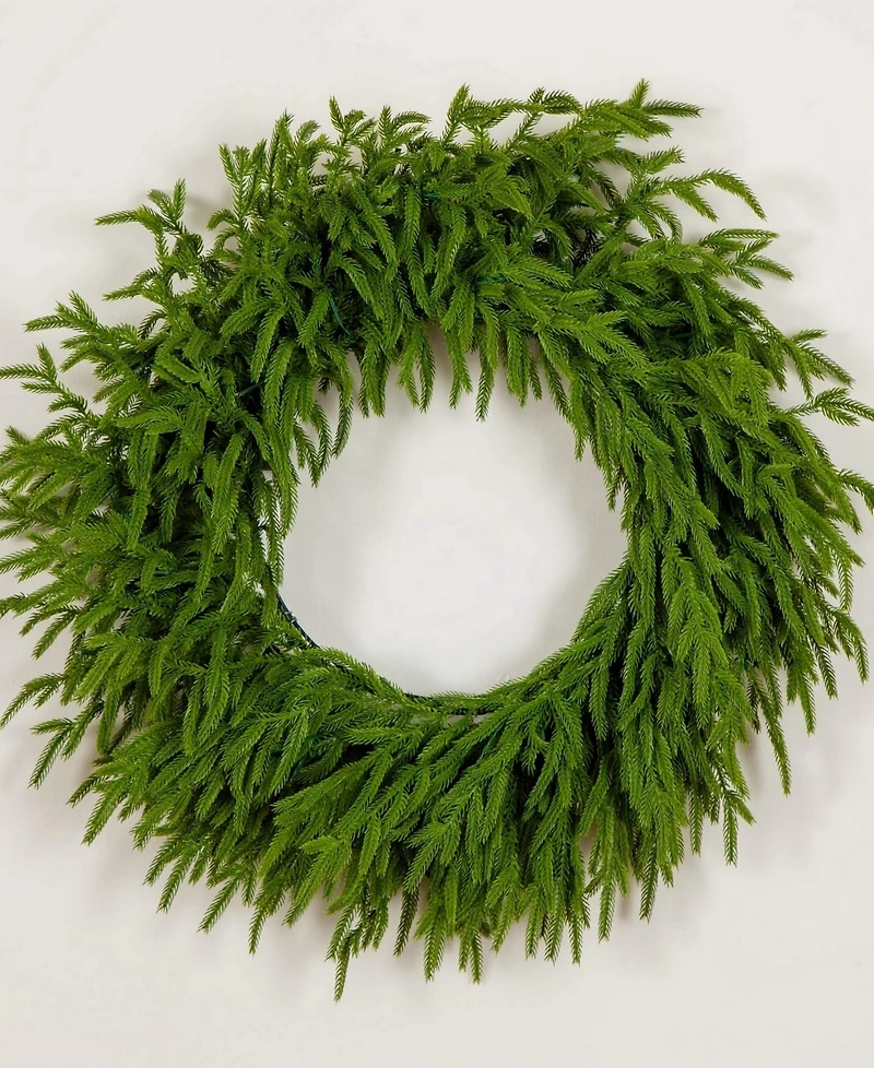 Nearly Natural 24" Pre-Lit Artificial Touch Norfolk Island Pine Wreath Led Lights and Natural Look