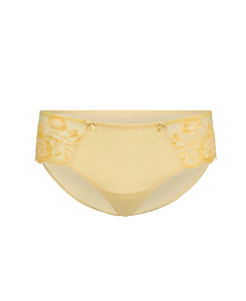Adore Me Vicky Women's Plus-Size Hipster Panty