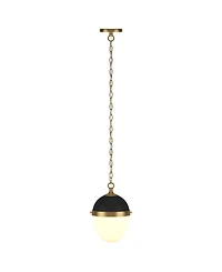 Hudson & Canal Aurelia 13" Metal Pendant with Glass Shade
