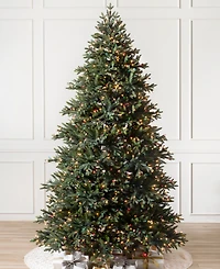 Balsam Hill ft Pre-Lit Colorado Mountain Spruce Tree