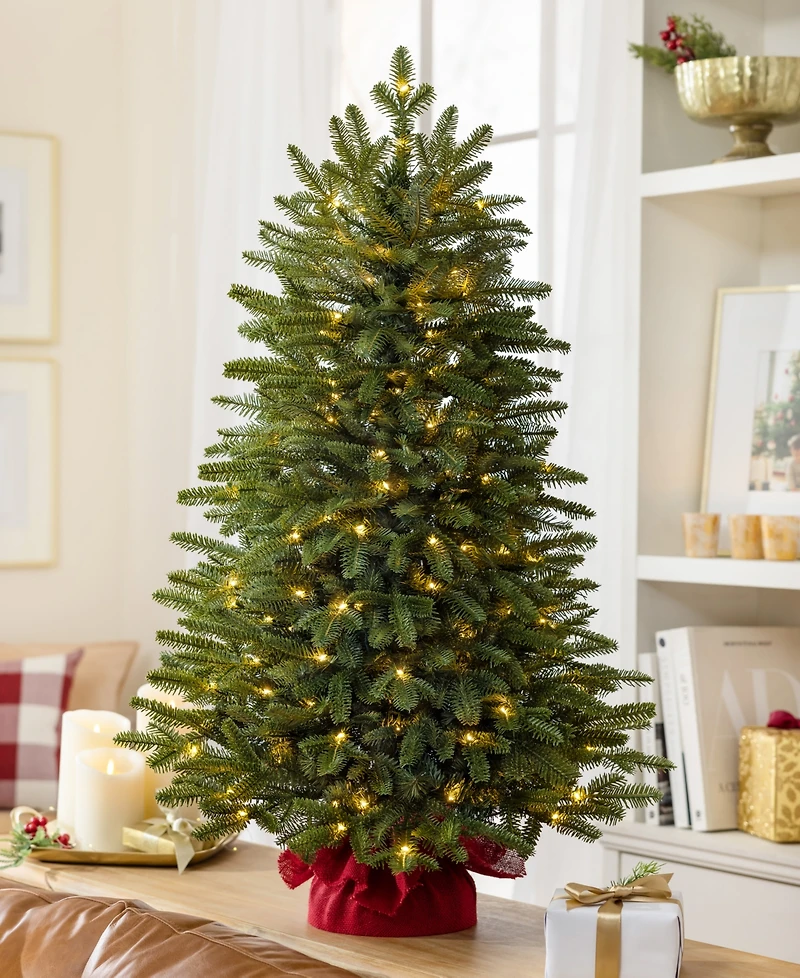 Balsam Hill 3.5 ft Fraser Fir Pre-Lit Tabletop Tree