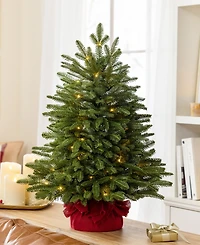 Balsam Hill 2.5 ft Fraser Fir Pre-Lit Tabletop Tree