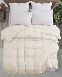 Unikome Cotton Goose Down Feather Fiber Comforter, California King