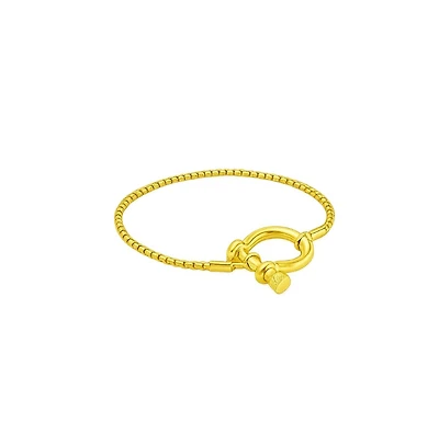 Hollywood Sensation The Lucky Lock Horseshoe Carabiner Clasp Bracelet