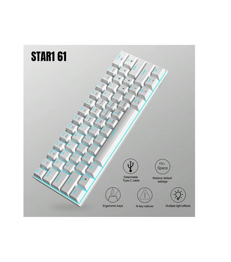 Risokeys 60% Wired Mechanical Gaming Keyboard, Ice Blue Led Backlit 61 Keys Mini Wired Office Keyboard For Windows Laptop (Black-White, Red Switches)