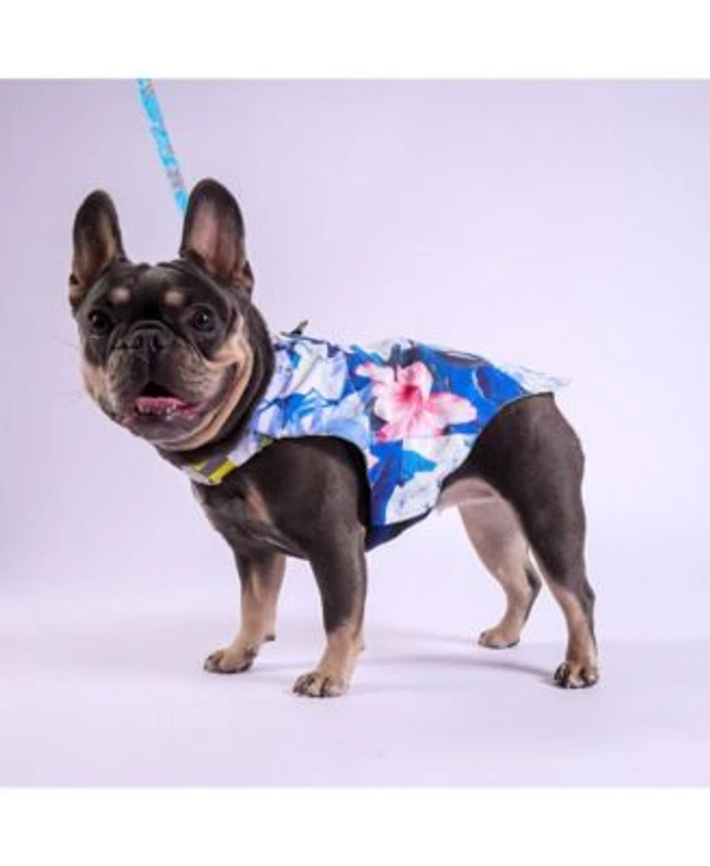 Tommy Bahama Pet Pet Tommy Bahama Pet Hawaiian Shirt Apparel Harness Blue