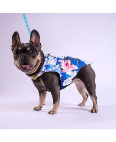 Tommy Bahama Pet Pet Tommy Bahama Pet Hawaiian Shirt Apparel Harness Blue