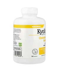 Kyolic Aged Garlic Extract Cholesterol Health Formula 104