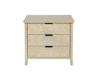 Casainc Storage Cabinet with 3 Drawer