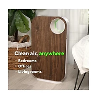 Oval Air H13 Hepa 5-in-1 Purifier, 600 sq. ft. Coverage – Reduces Allergies