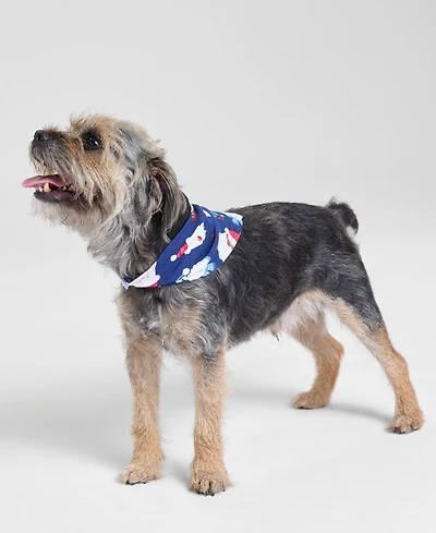 Holiday Lane Santa Pet Bandana, Macy's Exclusive
