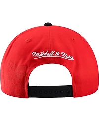 Mitchell & Ness Men's Red/Black Detroit Red Wings May Flowers Pro Crown Adjustable Hat