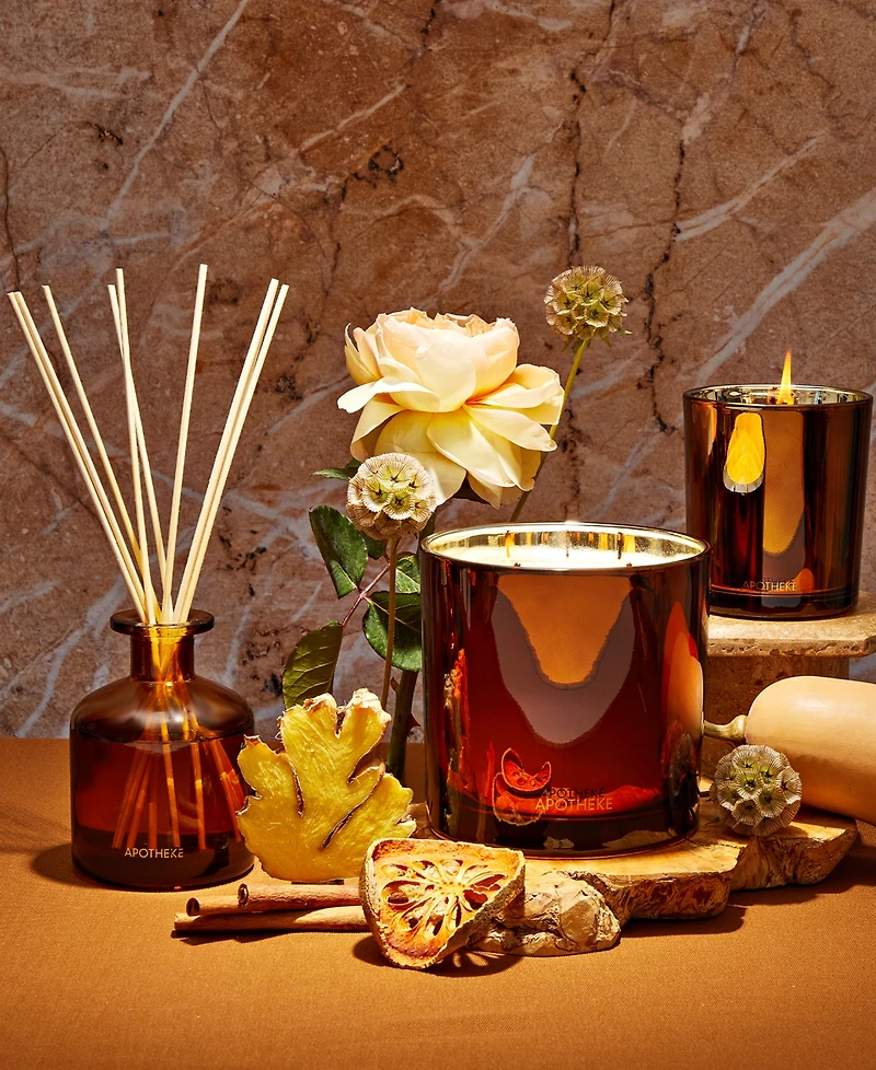 Apotheke Pumpkin Ginger Reed Diffuser, 6.7 oz.