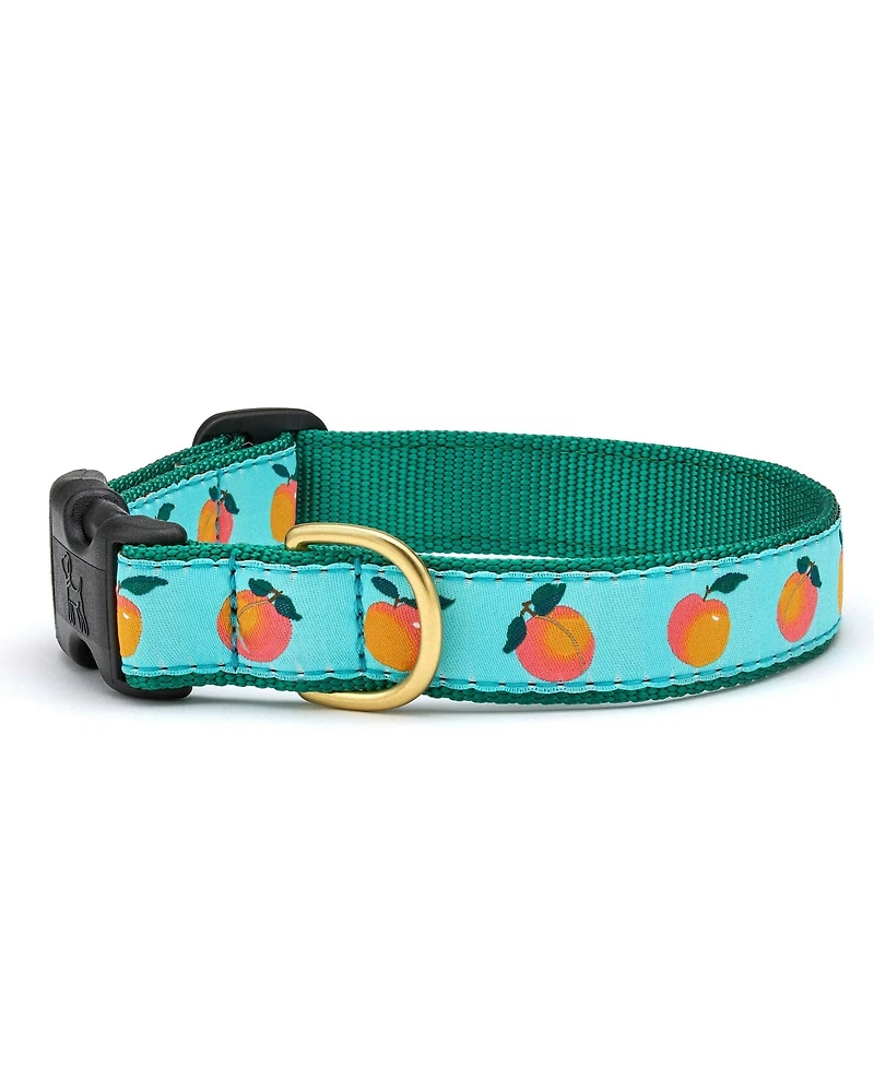 Up Country Peachy Dog Collar