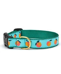 Up Country Peachy Dog Collar