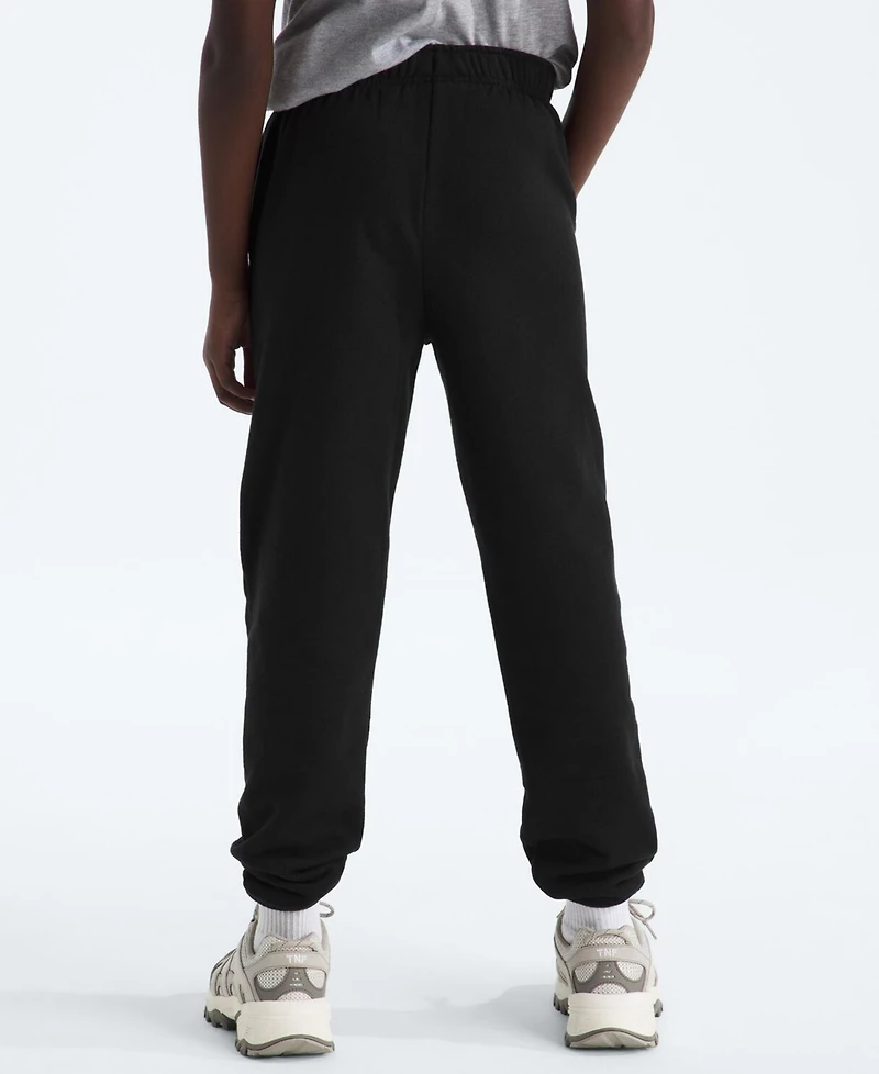 The North Face Big Boys Teen Evolution Pants
