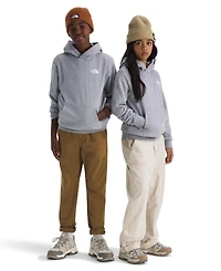 The North Face Big Boys Teen Evolution Pull-On Hoodie