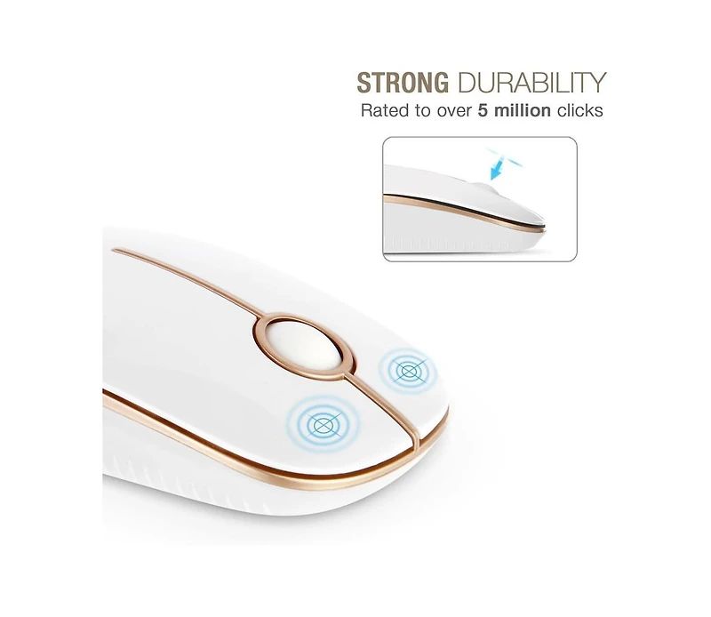 Risokeys Wireless Mouse, 2.4G Slim Portable Computer Mouse with Nano Receiver Quiet Silent Optical Laptop Mouse for Notebook, Pc