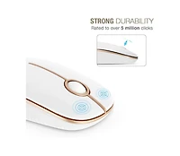 Risokeys Wireless Mouse, 2.4G Slim Portable Computer Mouse with Nano Receiver Quiet Silent Optical Laptop Mouse for Notebook, Pc
