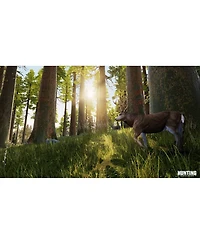 Maximum Games Hunting Simulator