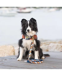 Up Country Terra Cotta Plaid Dog Collar
