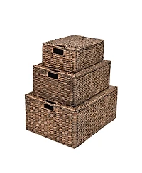 Happimess Brooks Classic Farmhouse Woven Hyacinth Rectangular Storage Baskets with Lids and Handles (Set of 3)