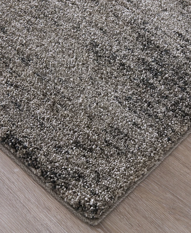 Feizy Jameson 39R8F 1'8"x2'10" Area Rug