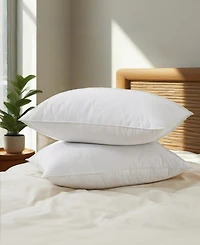 Unikome Goose Feather 2-Pack Pillows, Queen