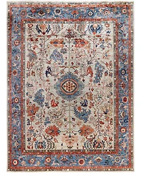 Adorn Hand Woven Rugs Serapi M0103- 9'1"x12'1" Area Rug
